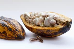 Mucilage de cacao : co-produit aux potentiels méconnus