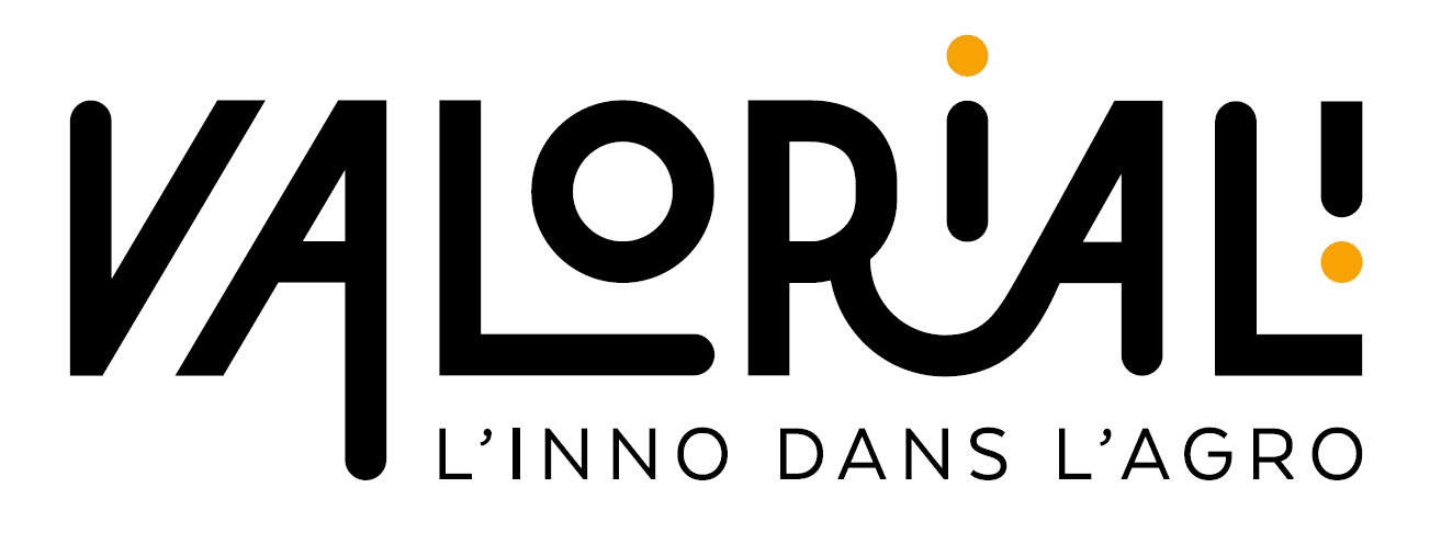 logo valo