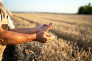 Tous à table… Coopérons pour la souveraineté alimentaire de notre territoire !