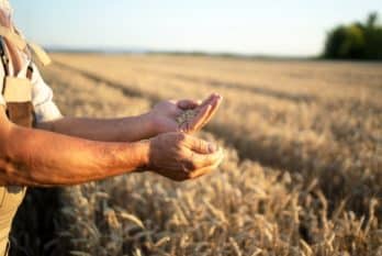 Tous à table… Coopérons pour la souveraineté alimentaire de notre territoire !