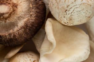 Le Jerky de champignons